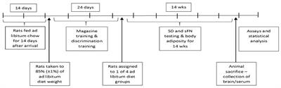 Differential Effects of Dietary MSG on Hippocampal Dependent Memory Are Mediated by Diet